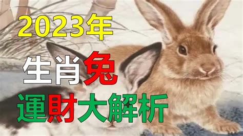 2023屬虎|2023「十二生肖財運、犯太歲、運勢」！屬兔犯太歲。